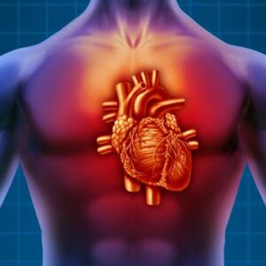 Heart in human body - Maximum tolerable body current